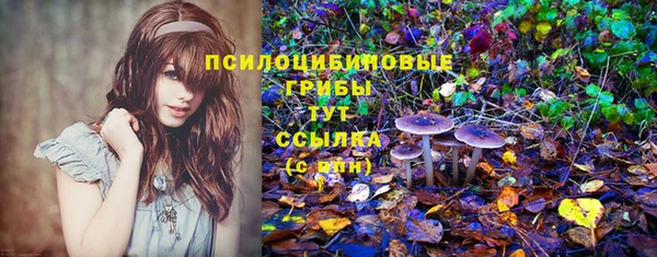 винт Нязепетровск
