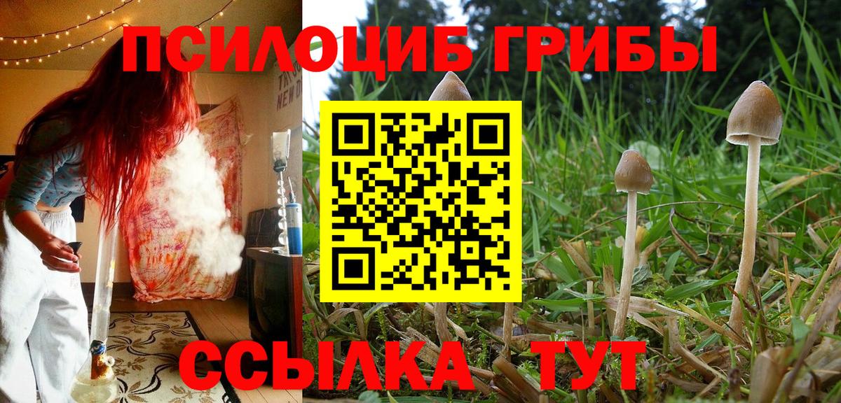 Галлюциногенные грибы GOLDEN TEACHER Северобайкальск