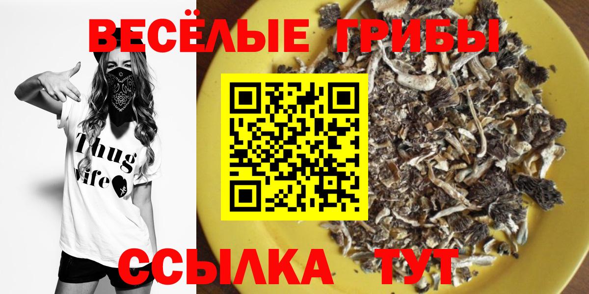Псилоцибиновые грибы Psilocybine cubensis  где можно купить наркотик  Северобайкальск  Вход с VPN 