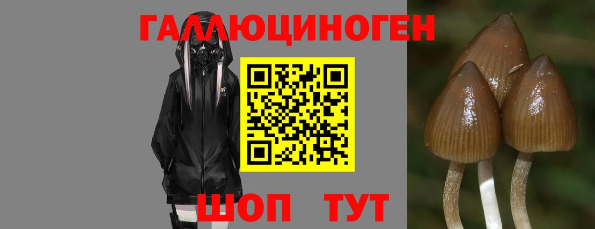 Галлюциногенные грибы мухоморы  Псилоцибиновые грибы мицелий  Северобайкальск 